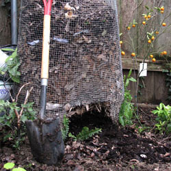 Compost Pile