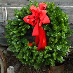 Outdoor Holiday Decorations