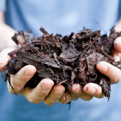 Problems With Your Compost Pile? Fix Them!