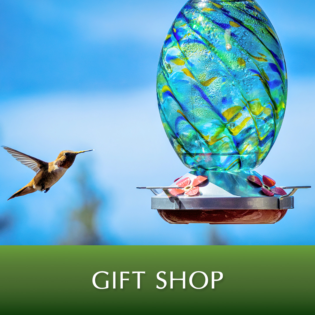 Visit our Gift Shop