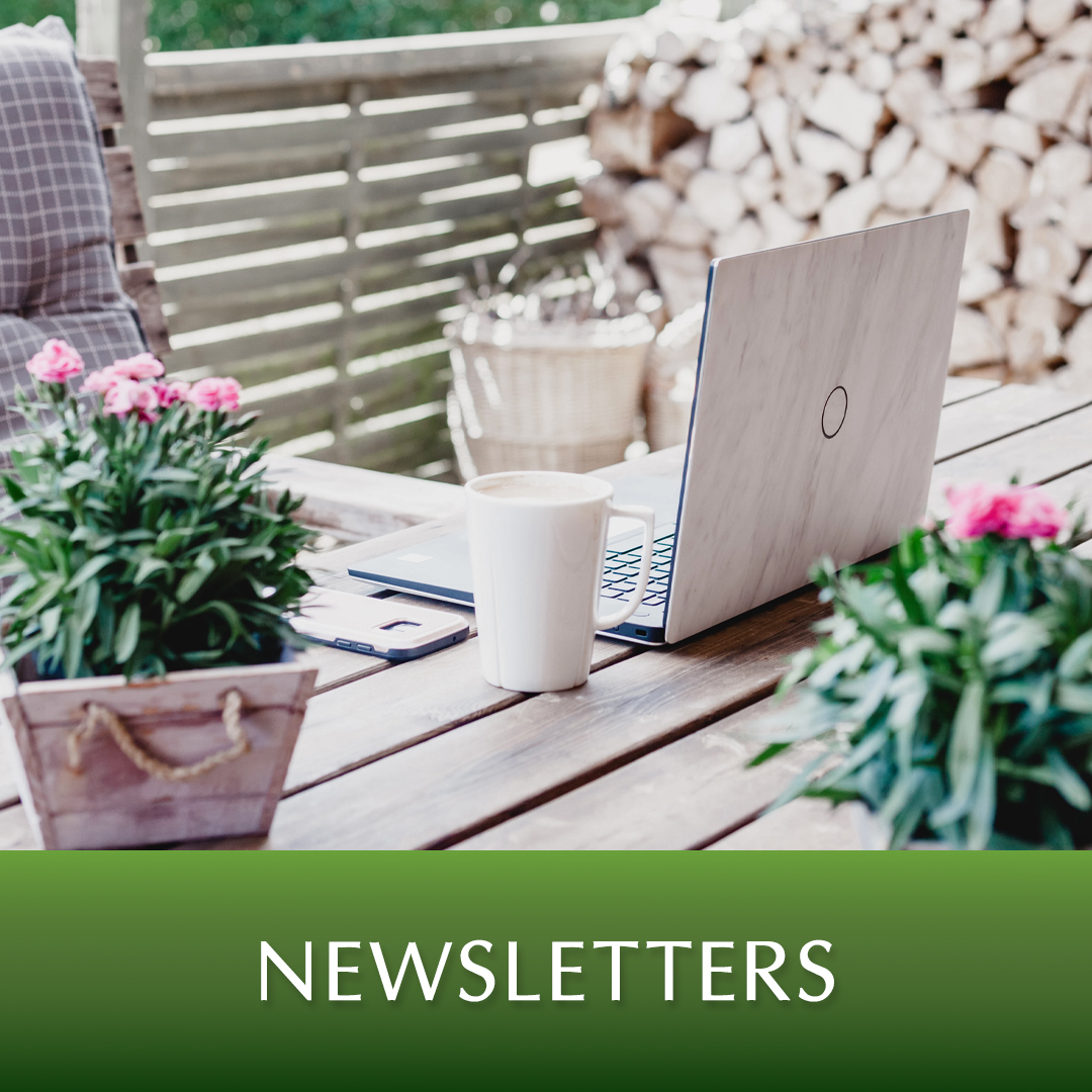 View our Newsletters