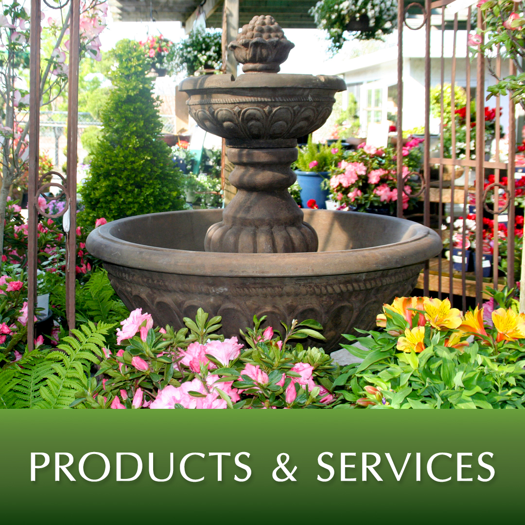 View our Products & Services