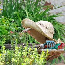 Tips for a Gardening Gift Basket